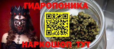 прущий лед Новозыбков