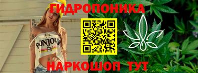 прущий лед Новозыбков
