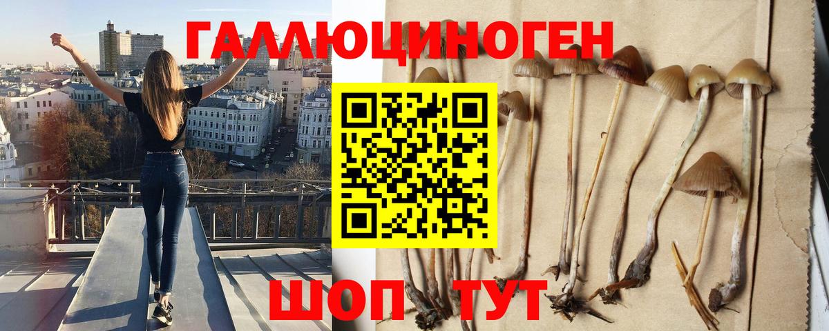 Рузаевка  Псилоцибиновые грибы прущие грибы  Вход с VPN 